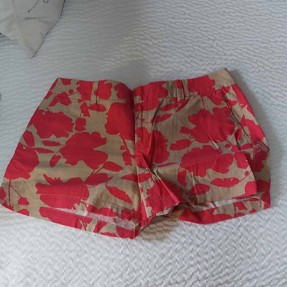 Brand New Loft Short